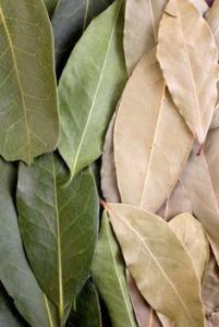 Kitchen Wisdom: Grinding Bay Leaves