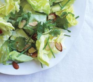 Boston Lettuce and Chopped Herbs with Shallot Cider Dressing Recipe