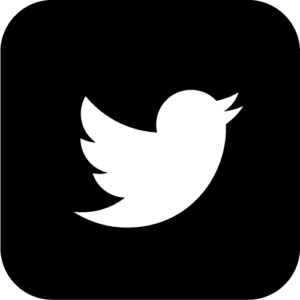 A white bird is sitting on top of a black background.