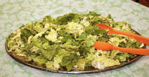 Plate of fresh green lettuce salad.