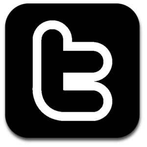 A black and white image of the twitter logo.