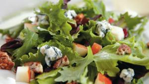 A close up of salad with lettuce and tomatoes