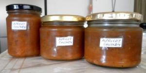 levana-cooks-charif-hot-sauce