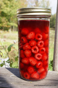 Jar of preserved raspberries in syrup outdoors.