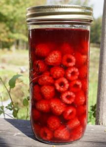 levana-cooks-raspberry-vinegar