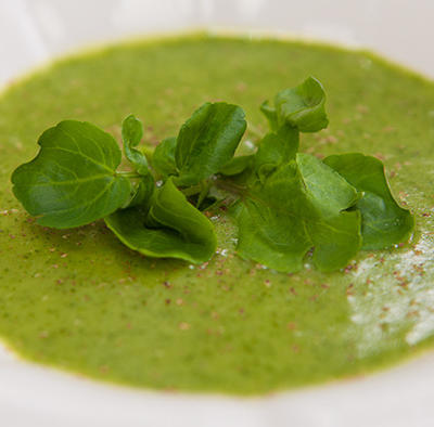 Watercress soup