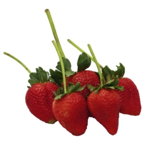 Long stemmed Strawberries