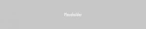 A grey background with the word placeholder in white