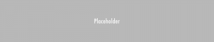 Light gray placeholder banner with centered text