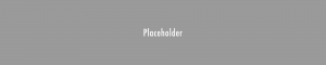 A gray background with the word placeholder in white.