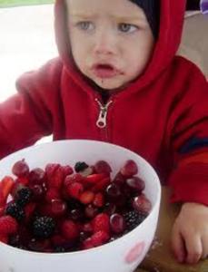 Child in red hoodie with fruit bowl.