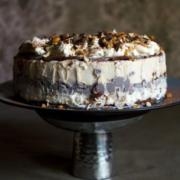 Chocolate Peanut Butter Ice Cream Party Cake Recipe