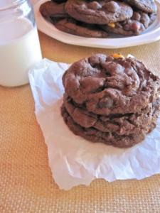 Chocolate Peanut Butter Cookies Recipe. Gluten-Free Adaptable