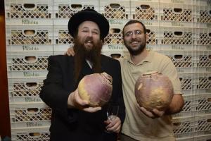 Two men holding onions in front of a wall.