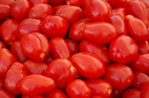 Plum tomato and beefsteak tomato