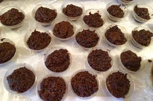 A bunch of chocolate muffins are on wax paper.