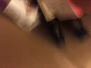 A blurry picture of a person with a dog.
