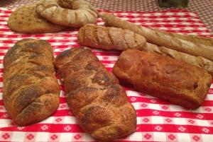 Assorted artisanal breads on red checkered cloth