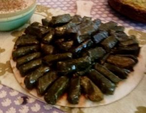 Plate of stuffed grape leaves (dolma)