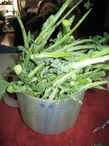 A metal container filled with green plants on top of a table.