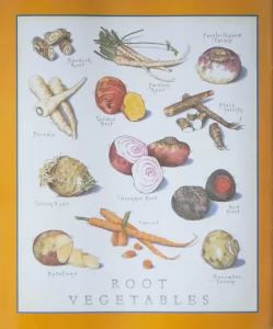 White root vegetables